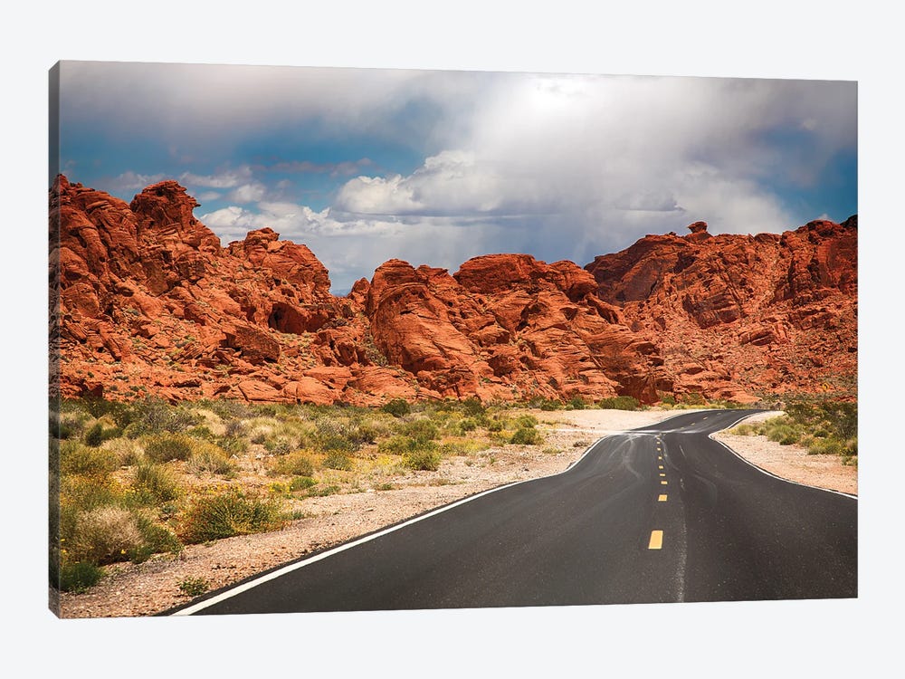 Road To The Valley Of Fire, Usa by Jane Rix 1-piece Art Print