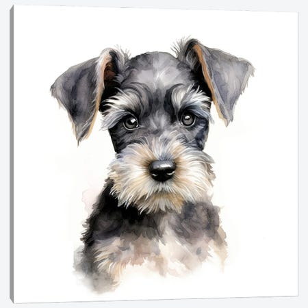 Miniature Schnauzer Puppy Watercolour Canvas Print #JRX493} by Jane Rix Canvas Artwork