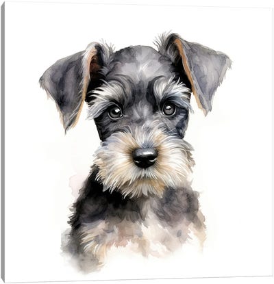 Miniature Schnauzer Puppy Watercolour Canvas Art Print - Puppy Art