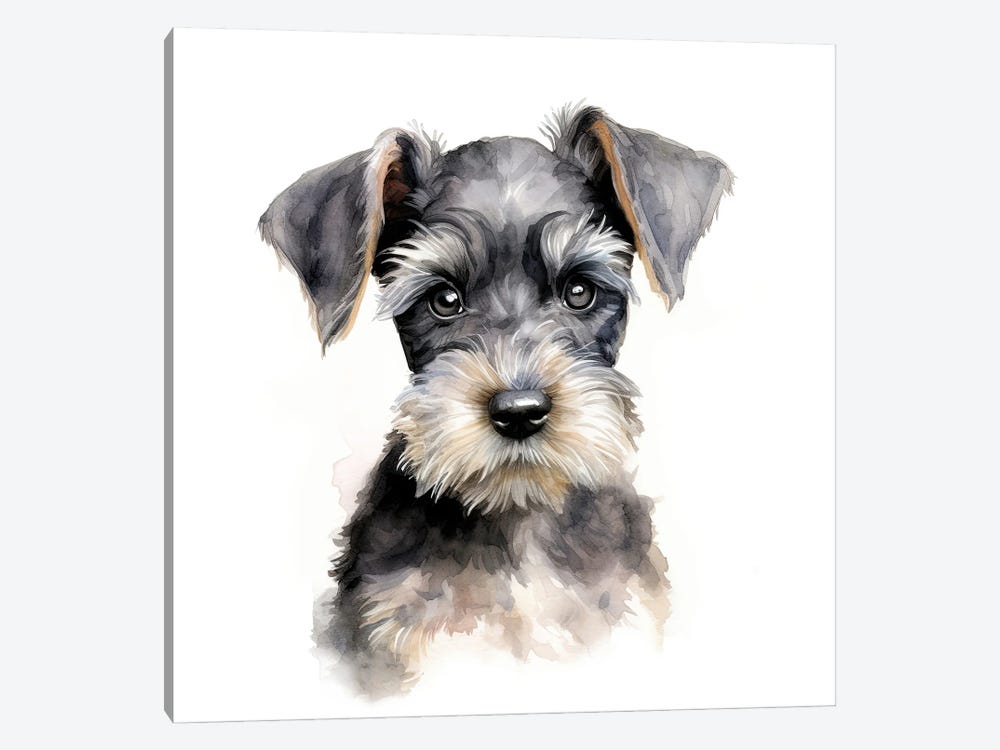 Miniature Schnauzer Puppy Watercolour by Jane Rix 1-piece Canvas Print