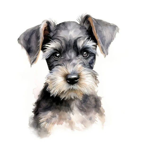 Schnauzers: Miniature Schnauzer Puppy Watercolour by Jane Rix