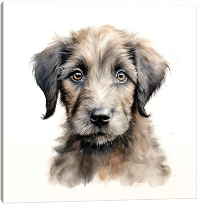 Irish Wolfhound Puppy Canvas Art Print - Puppy Art