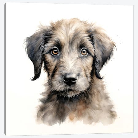 Irish Wolfhound Puppy Canvas Print #JRX494} by Jane Rix Canvas Print