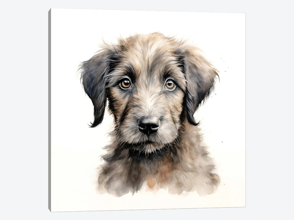 Irish Wolfhound Puppy by Jane Rix 1-piece Canvas Art