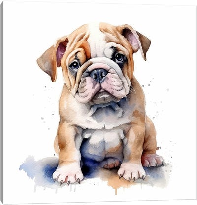 Bulldog Puppy Watercolour Canvas Art Print - Puppy Art
