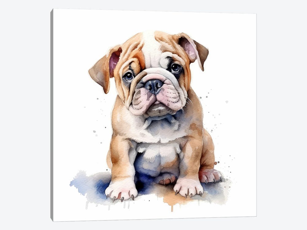 Bulldog Puppy Watercolour by Jane Rix 1-piece Canvas Artwork