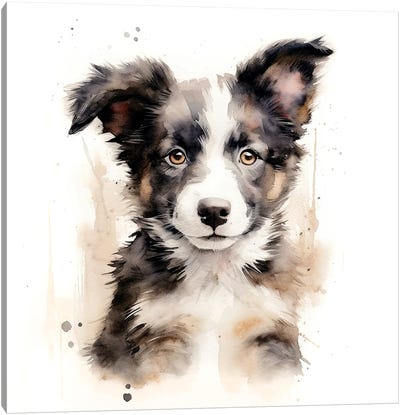 Border Collie Watercolour Canvas Art Print - Puppy Art