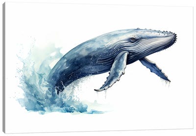 Humpback Whale Watercolour Canvas Art Print - Jane Rix