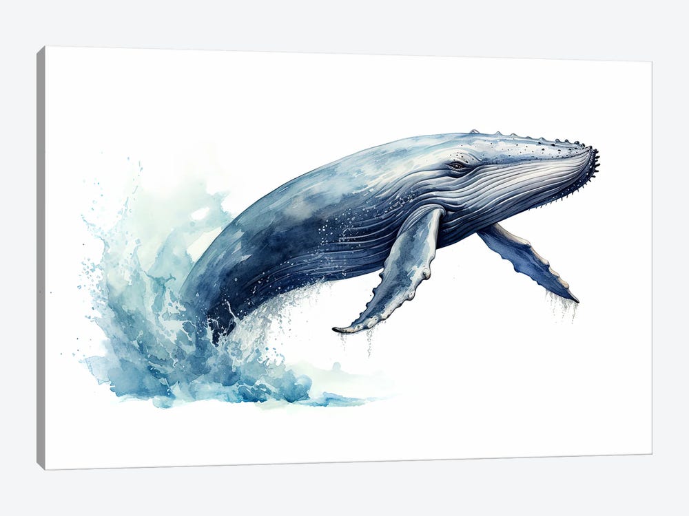 Humpback Whale Watercolour by Jane Rix 1-piece Canvas Print