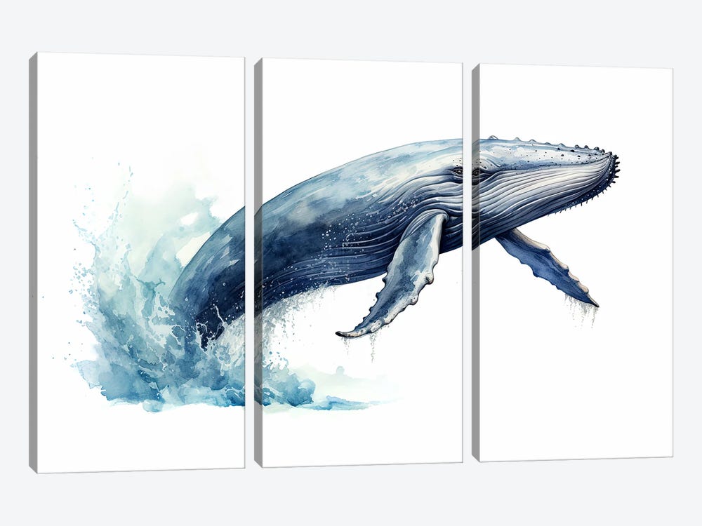 Humpback Whale Watercolour by Jane Rix 3-piece Canvas Print