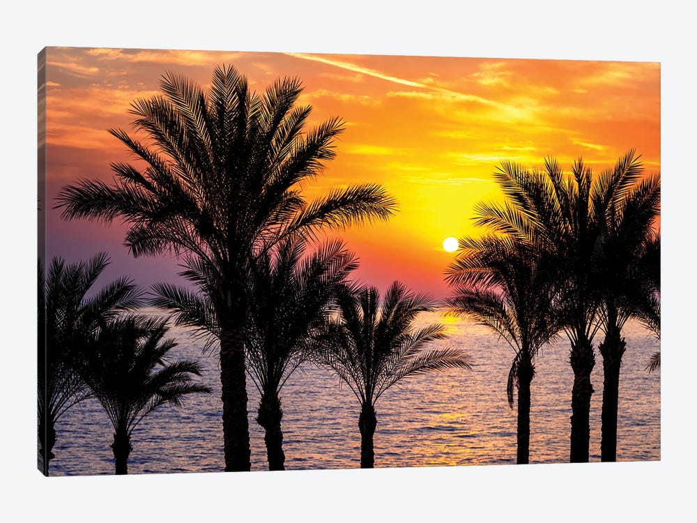 Colourful Sunrise Over The Red Sea, Egypt by Jane Rix 1-piece Canvas Wall Art