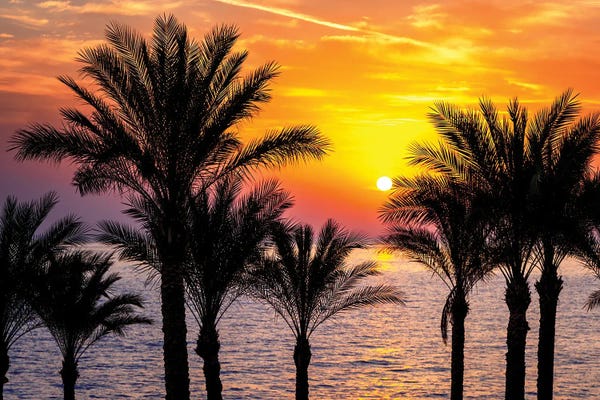 Jane Rix: Colourful Sunrise Over The Red Sea, Egypt by Jane Rix