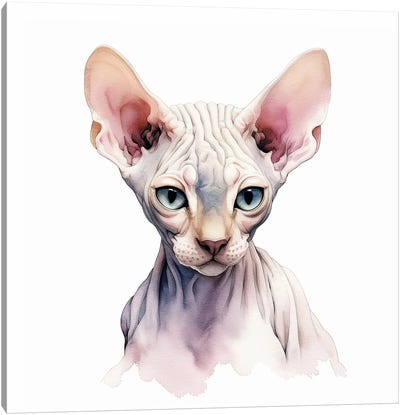 Sphynx Cat Portrait Canvas Art Print - Hairless Cat Art