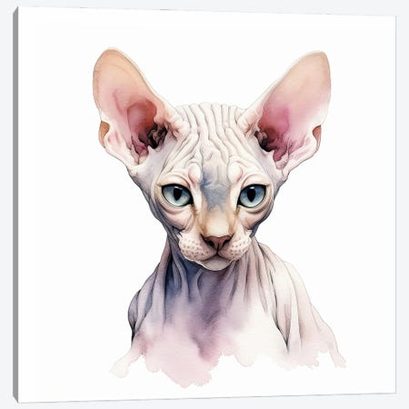 Sphynx Cat Portrait Canvas Print #JRX501} by Jane Rix Canvas Artwork
