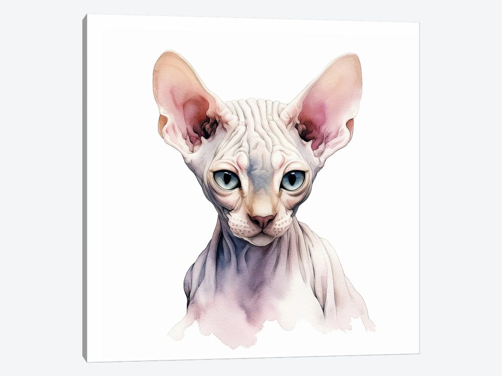 Sphynx Cat Portrait by Jane Rix 1-piece Canvas Print