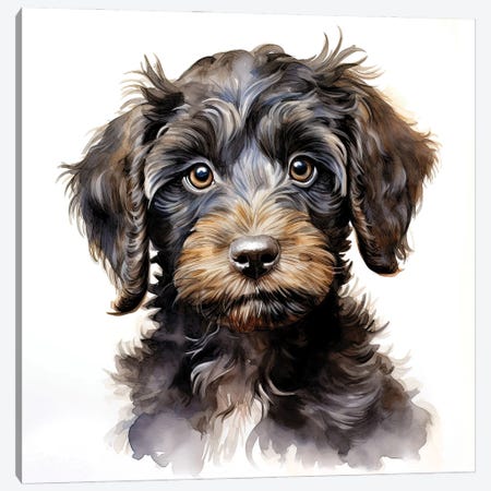 Chocolate Cockerpoo Puppy Canvas Print #JRX503} by Jane Rix Canvas Art