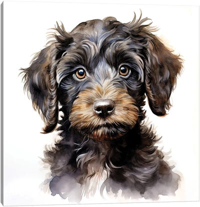 Chocolate Cockerpoo Puppy Canvas Art Print - Jane Rix