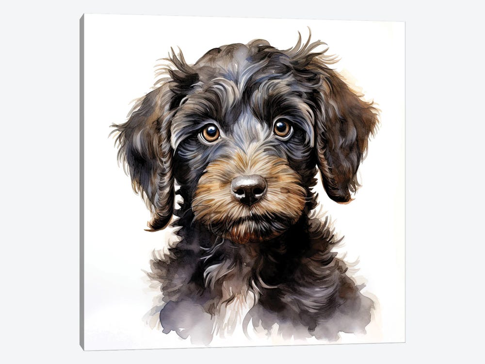 Chocolate Cockerpoo Puppy by Jane Rix 1-piece Canvas Art Print