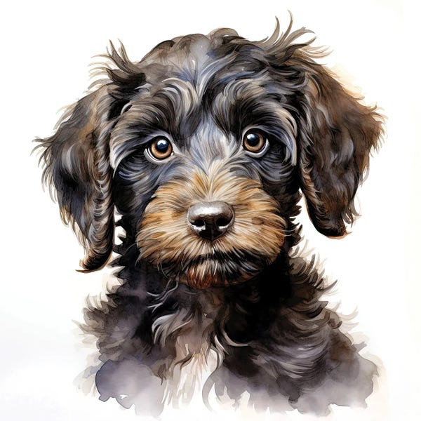 Jane Rix: Chocolate Cockerpoo Puppy by Jane Rix