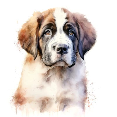 St Bernard Puppy by Jane Rix canvas print