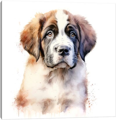 St Bernard Puppy Canvas Art Print - Puppy Art