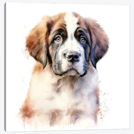St Bernard Puppy Canvas Print #JRX504} by Jane Rix Canvas Print