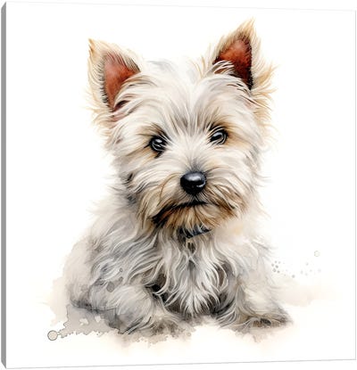 West Highland Terrier Pup Canvas Art Print - Puppy Art