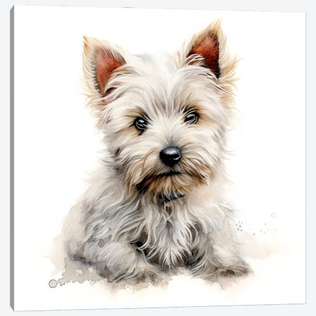 West Highland Terrier Pup Canvas Print #JRX505} by Jane Rix Canvas Print