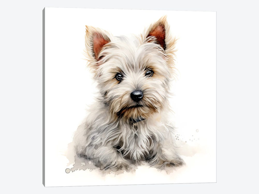 West Highland Terrier Pup by Jane Rix 1-piece Canvas Art Print