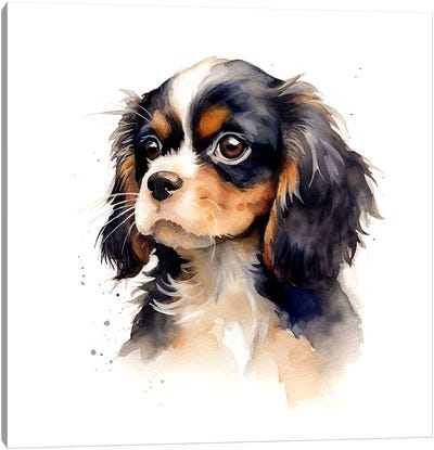 Cavalier Puppy Watercolour Canvas Art Print - Cavalier King Charles Spaniel Art