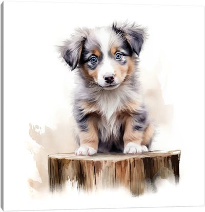 Australian Shepherd Puppy Canvas Art Print - Puppy Art