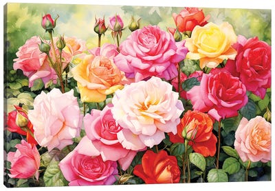 English Rose Garden Canvas Art Print - Jane Rix