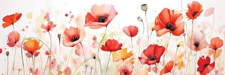 Poppy Field Of Flowers And Pods