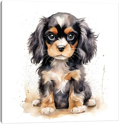 Black And Tan Cavalier Puppy Canvas Art Print - Spaniels