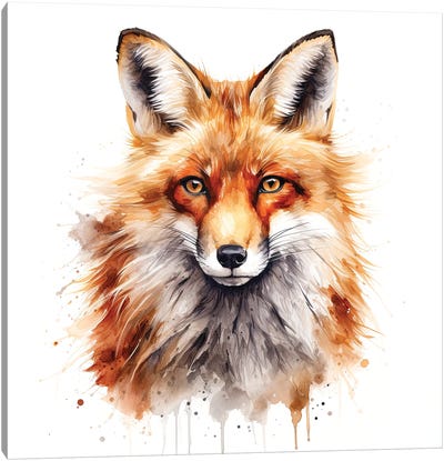 Red Fox Portrait Canvas Art Print - Jane Rix
