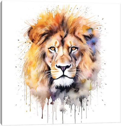 Lion Watercolour Portrait Canvas Art Print - Jane Rix