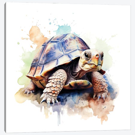 Tortoise Watercolour Canvas Print #JRX518} by Jane Rix Art Print