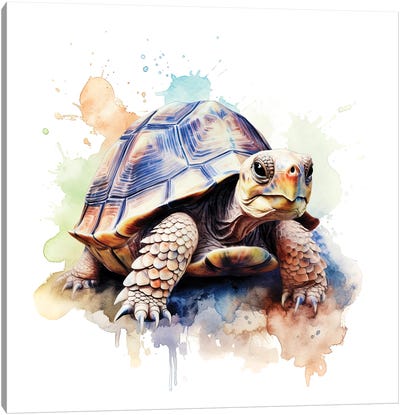 Tortoise Watercolour Canvas Art Print - Jane Rix
