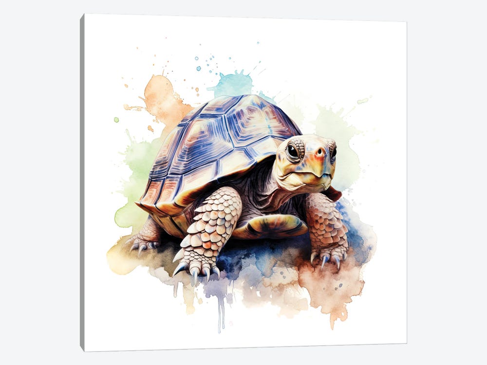 Tortoise Watercolour by Jane Rix 1-piece Canvas Print