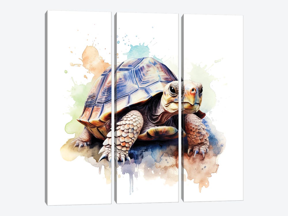 Tortoise Watercolour by Jane Rix 3-piece Art Print