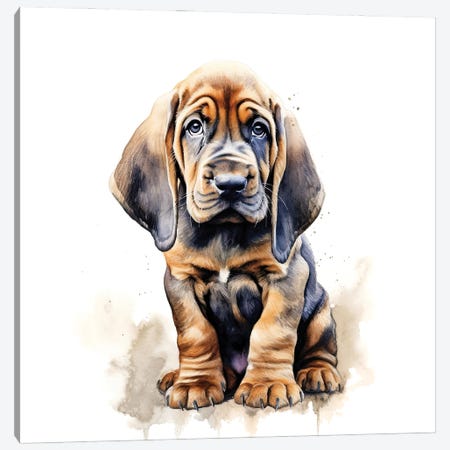 Bloodhound Watercolour Canvas Print #JRX519} by Jane Rix Art Print