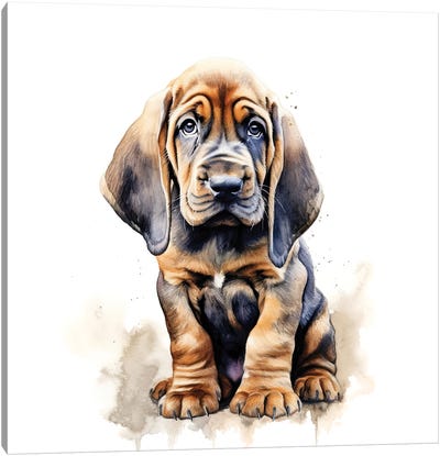 Bloodhound Watercolour Canvas Art Print - Bloodhound Art