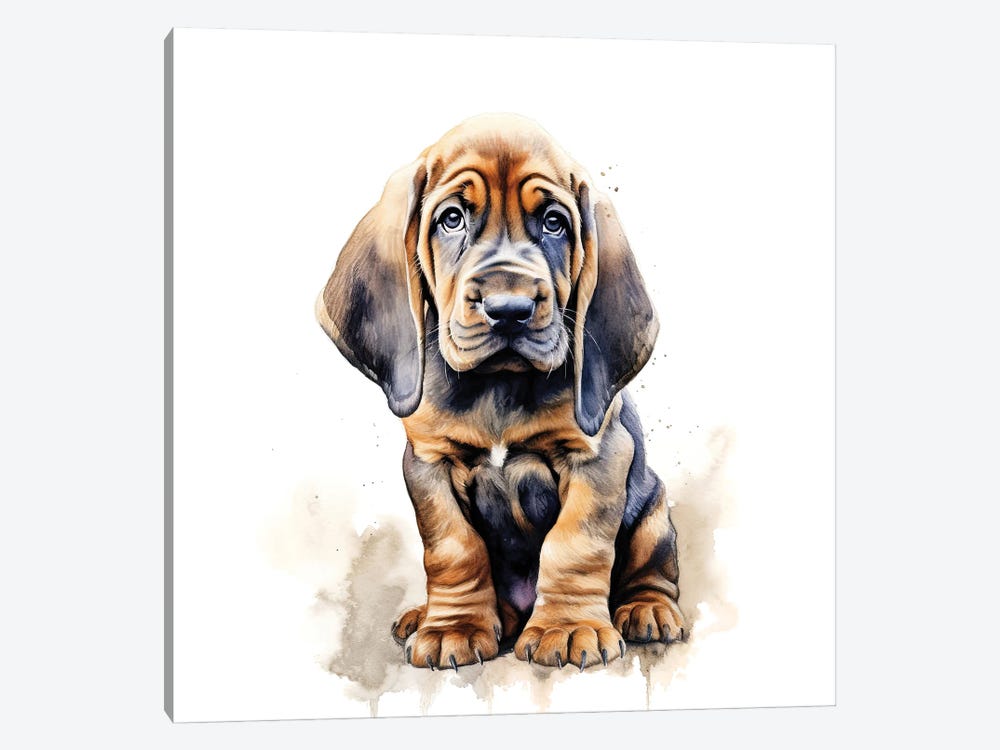 Bloodhound Watercolour by Jane Rix 1-piece Canvas Art