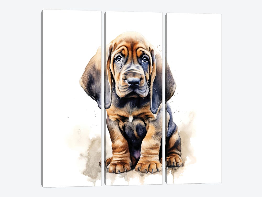 Bloodhound Watercolour by Jane Rix 3-piece Canvas Artwork