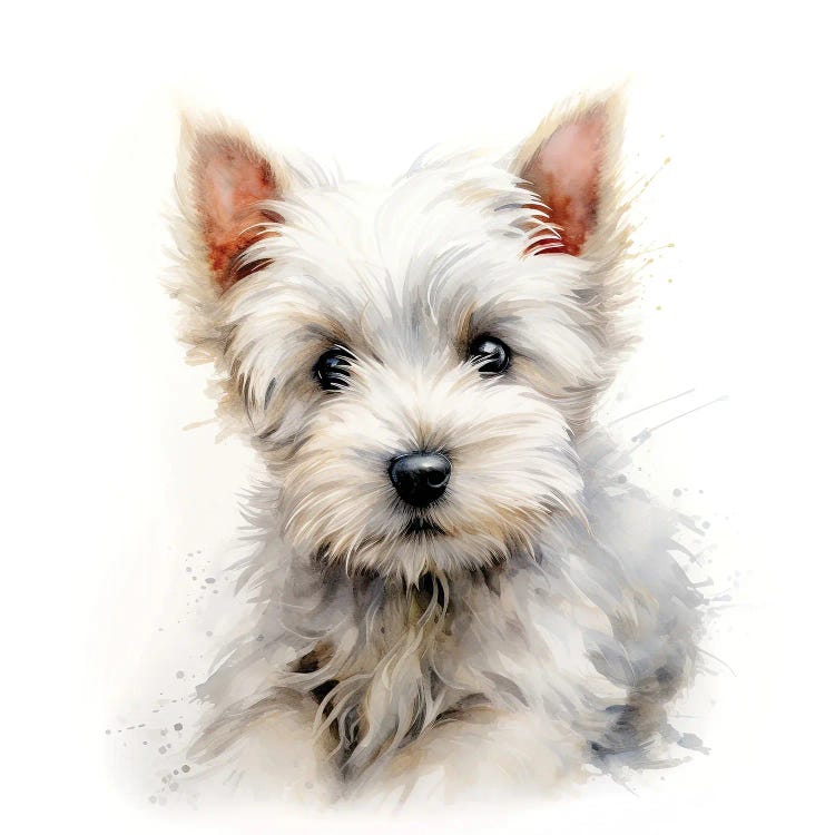 West Highland Terrier by Jane Rix wall art