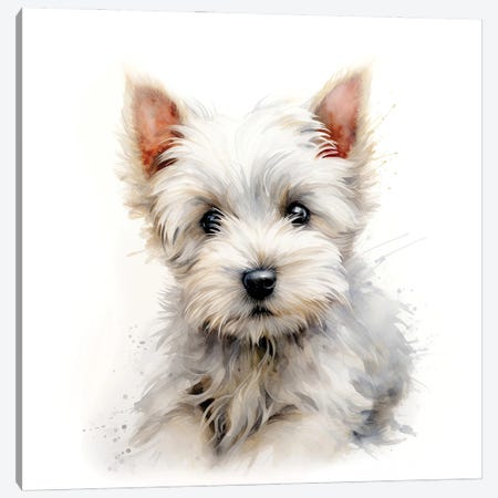 West Highland Terrier Canvas Print #JRX520} by Jane Rix Canvas Art