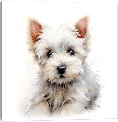 West Highland Terrier Canvas Art Print - Jane Rix