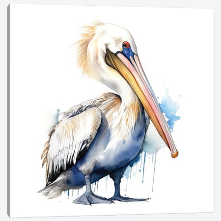 Pelican Watercolour Canvas Print #JRX521} by Jane Rix Canvas Art