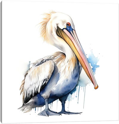 Pelican Watercolour Canvas Art Print - Pelican Art