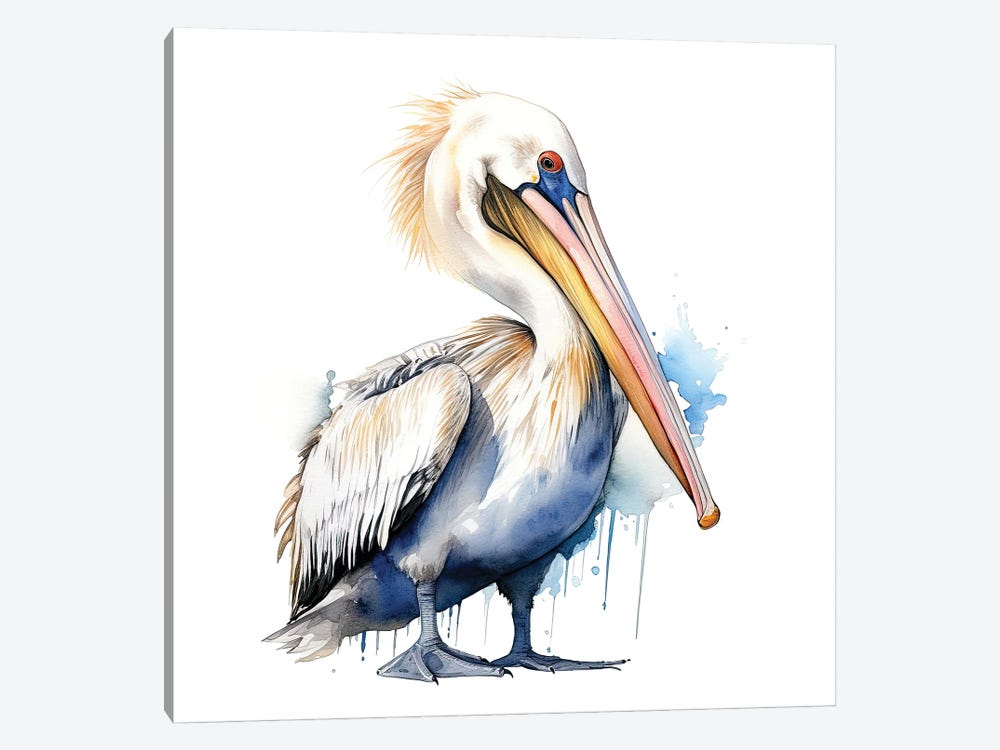 Pelican Watercolour by Jane Rix 1-piece Canvas Print